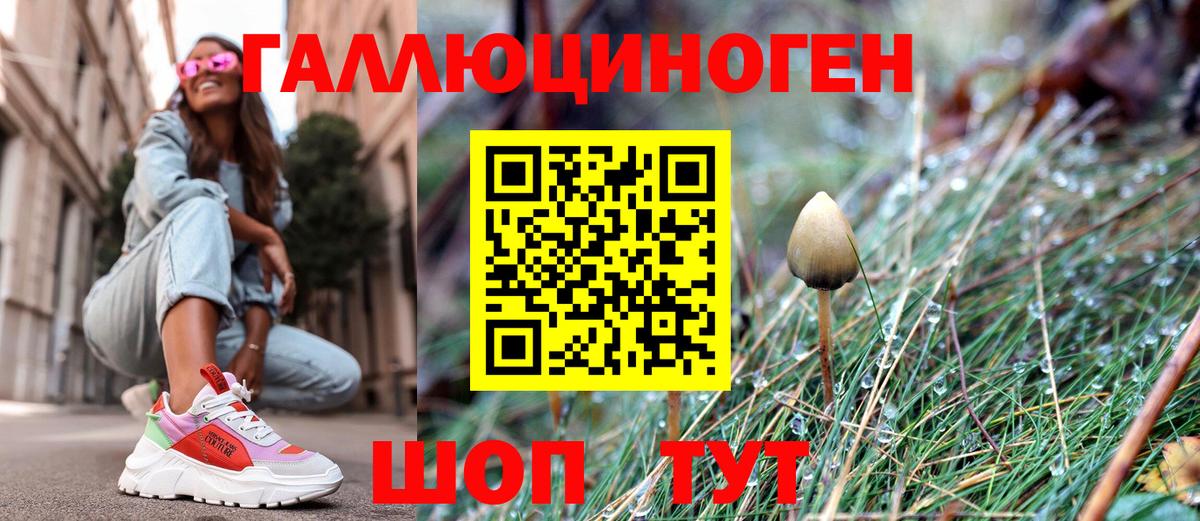 Галлюциногенные грибы Psilocybe Фрязино